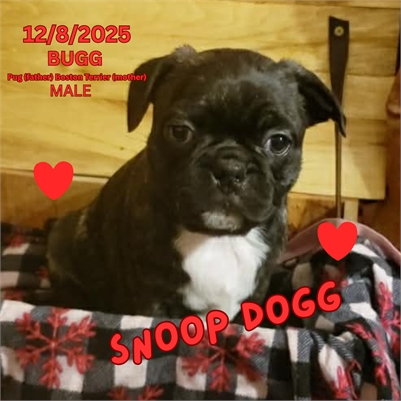 <%$ Resources:Resource, Classifieds %> - Image2