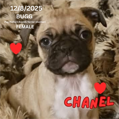 <%$ Resources:Resource, Classifieds %> - Image4