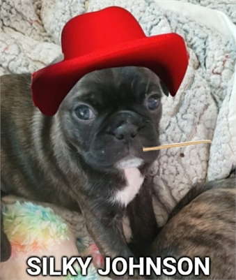 <%$ Resources:Resource, Classifieds %> - Image7