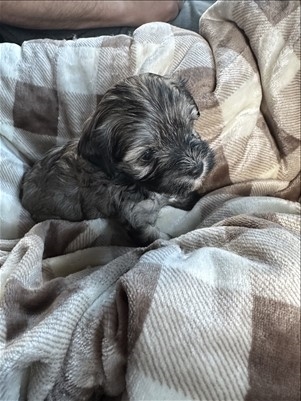 <%$ Resources:Resource, Classifieds %> - Image2