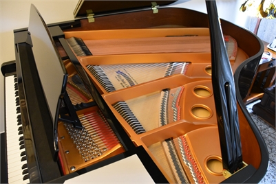 <%$ Resources:Resource, Classifieds %> - Image5