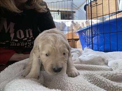 <%$ Resources:Resource, Classifieds %> - Image2