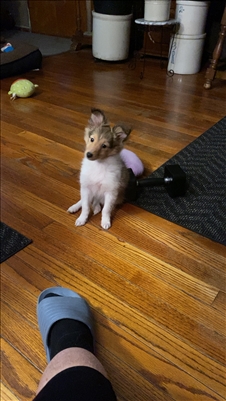 <%$ Resources:Resource, Classifieds %> - Image3