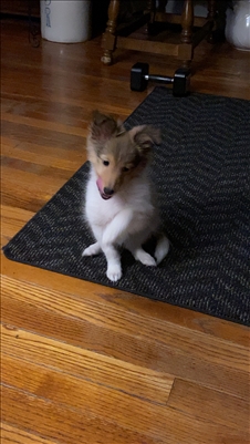 <%$ Resources:Resource, Classifieds %> - Image6