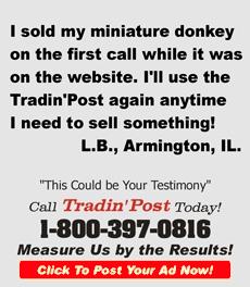 TradinPost Customer Testimony | Free Classified Ads Near Me