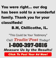 TradinPost Customer Testimony | Free Classified Ads Near Me