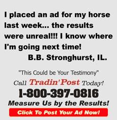 TradinPost Customer Testimony | Free Classified Ads Near Me