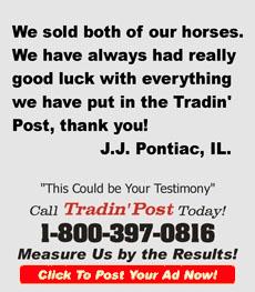 TradinPost Customer Testimony | Free Classified Ads Near Me