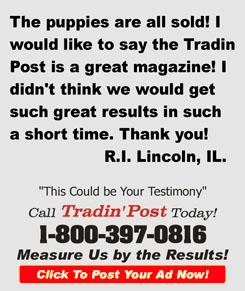 TradinPost Customer Testimony | Free Classified Ads Near Me