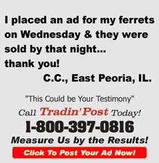 TradinPost Customer Testimony | Free Classified Ads Near Me