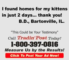 TradinPost Customer Testimony | Free Classified Ads Near Me