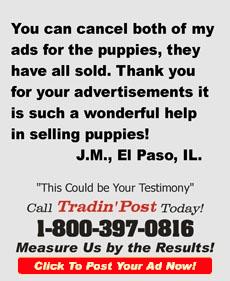 TradinPost Customer Testimony | Free Classified Ads Near Me