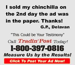 TradinPost Classifieds | Classified Ads Near Me