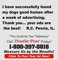 TradinPost Customer Testimony | Free Classified Ads Near Me