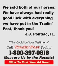 TradinPost Customer Testimony | Free Classified Ads Near Me